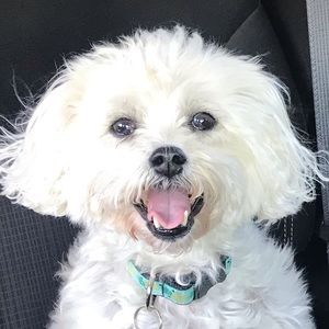 Meet your Posher, Hisako